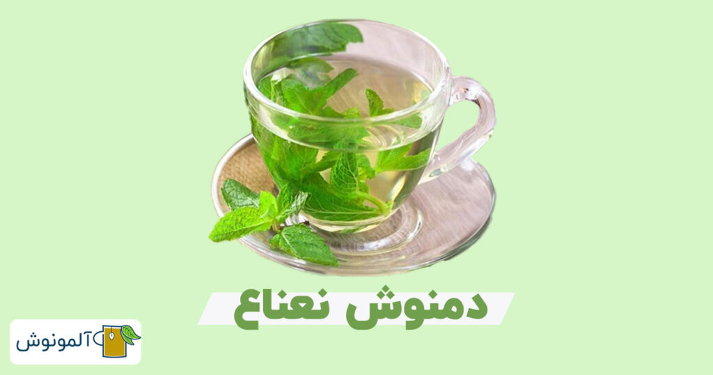 دمنوش خنک نعناع برای رفع عطش و تشنگی