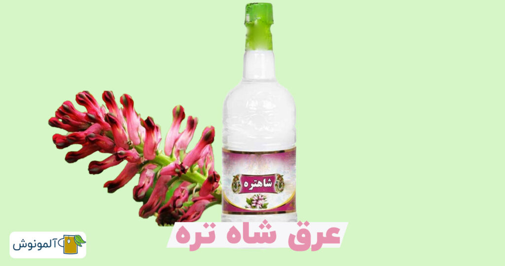 عرق شاه تره