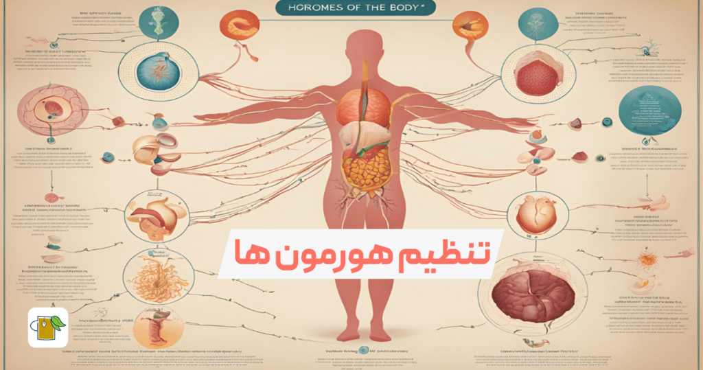 خواص دمنوش پونه برای زنان
