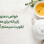 دمنوش رازیانه برای معده