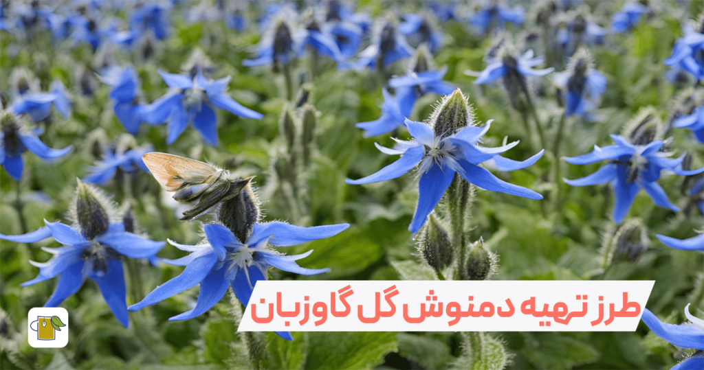 خواص دمنوش گل گاو زبان برای مردان